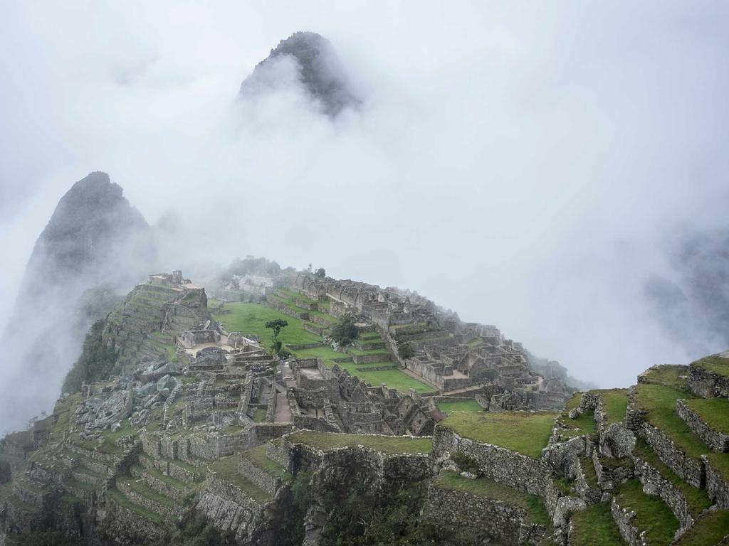 Manager sacking season