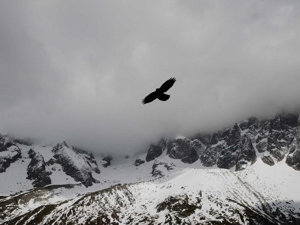 Transfer deadline fax machine chaos